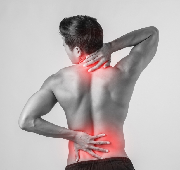 Person walking dog outdoors