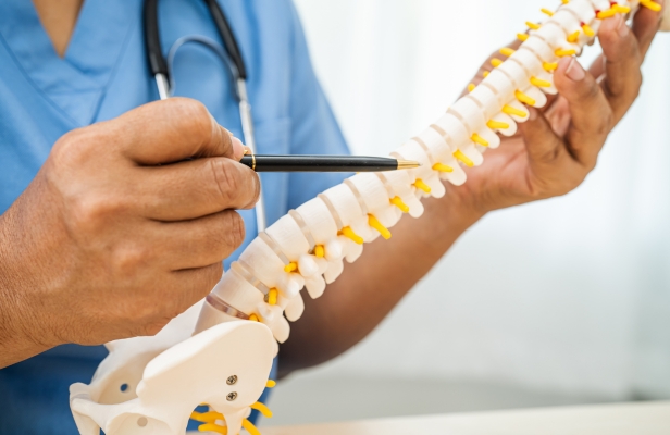 Person walking dog outdoors